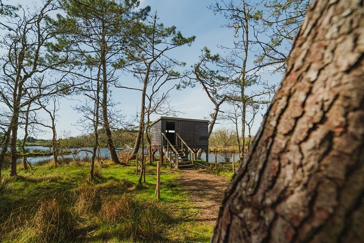 Au coeur des marais de Mousterlin