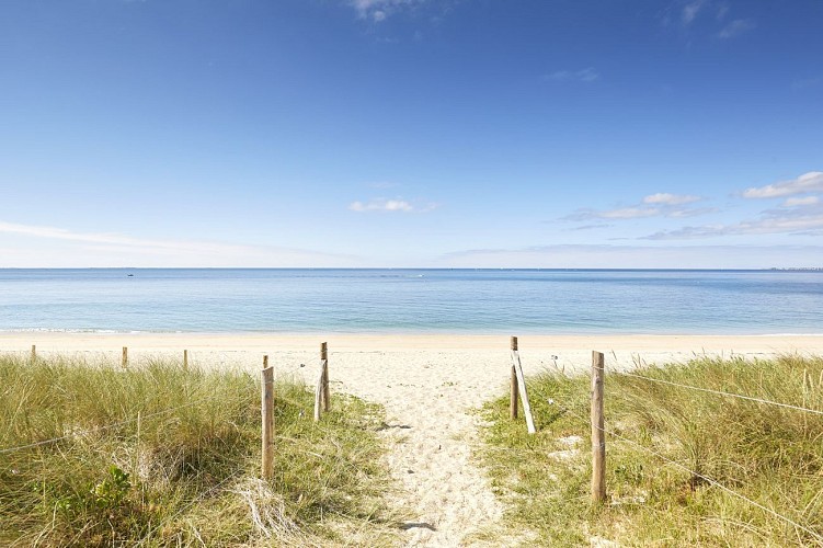De la Mer Blanche au marais de Mousterlin