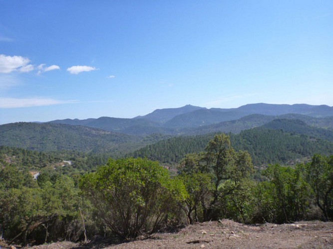 Logis de Paris, aire de l Olivier, MF charretiers, castelli, porfait, malpey