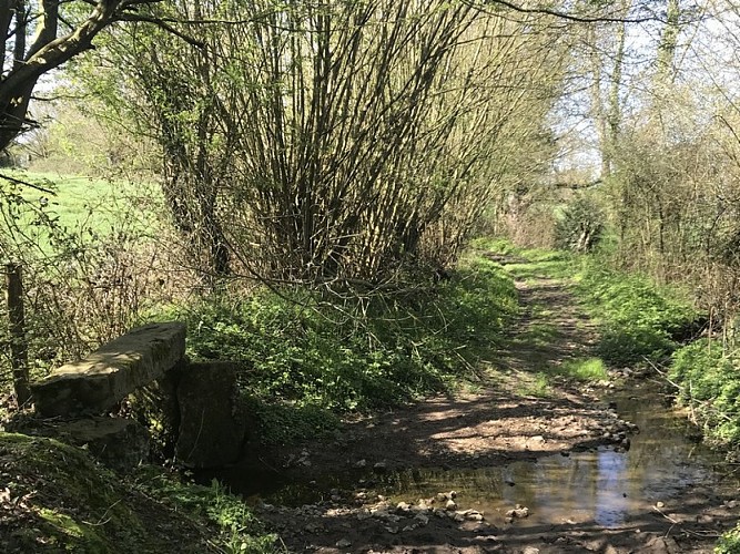 aller-de-douet-en-douet-Orbec3