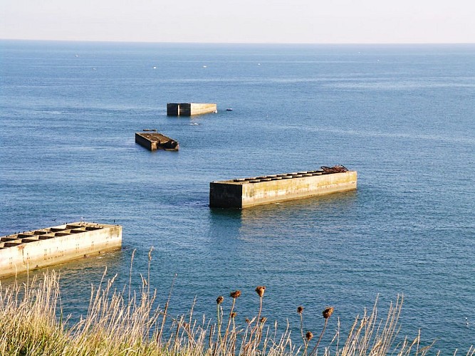 Port artificiel vu du Cap Manvieux