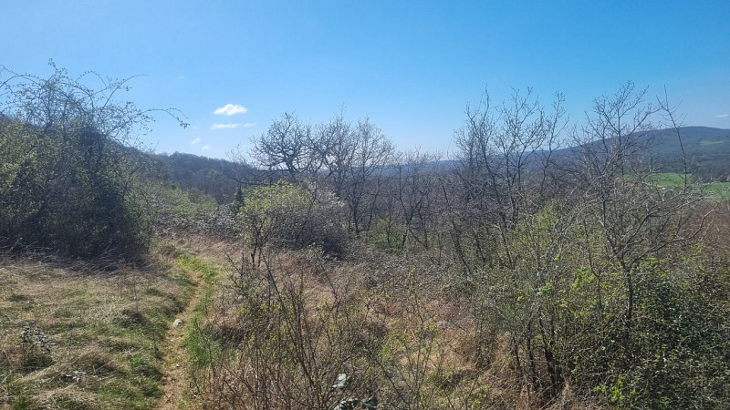 Randonnée - Bohas - La Vallée du Suran_Bohas-Meyriat-Rignat