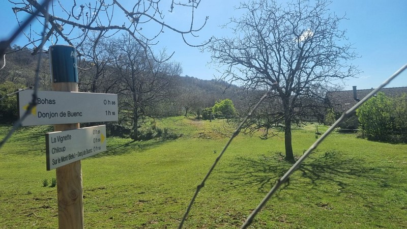 Randonnée - Bohas - La Vallée du Suran_Bohas-Meyriat-Rignat