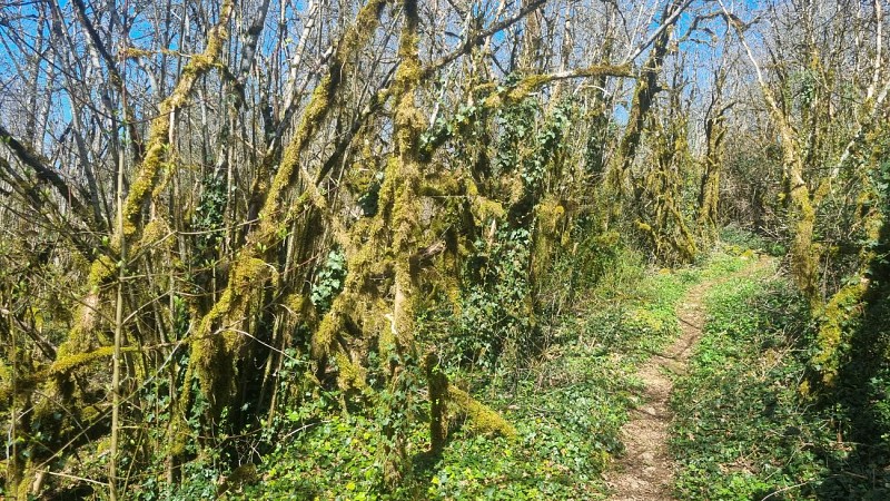 Randonnée - Bohas - La Vallée du Suran_Bohas-Meyriat-Rignat