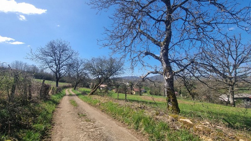 Randonnée  - Bohas et la Vallée du Suran_Bohas-Meyriat-Rignat