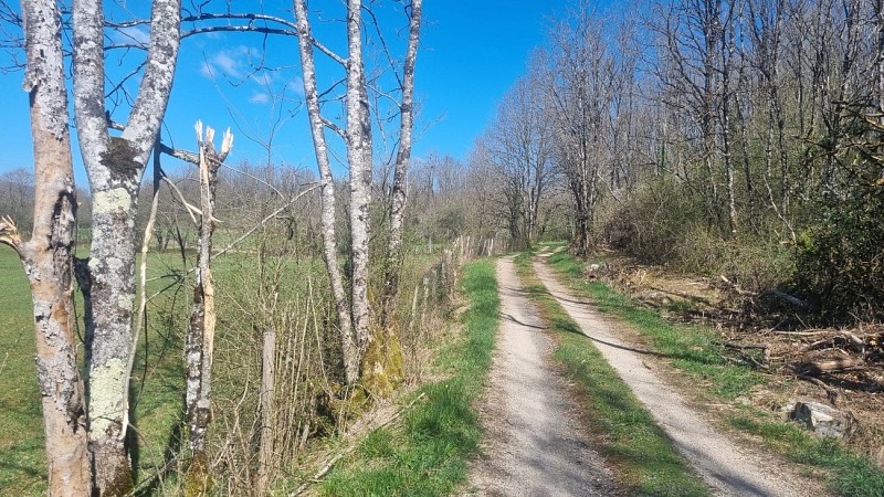 Randonnée  - Bohas et la Vallée du Suran_Bohas-Meyriat-Rignat