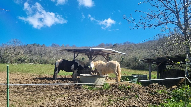 Randonnée  - Bohas et la Vallée du Suran_Bohas-Meyriat-Rignat