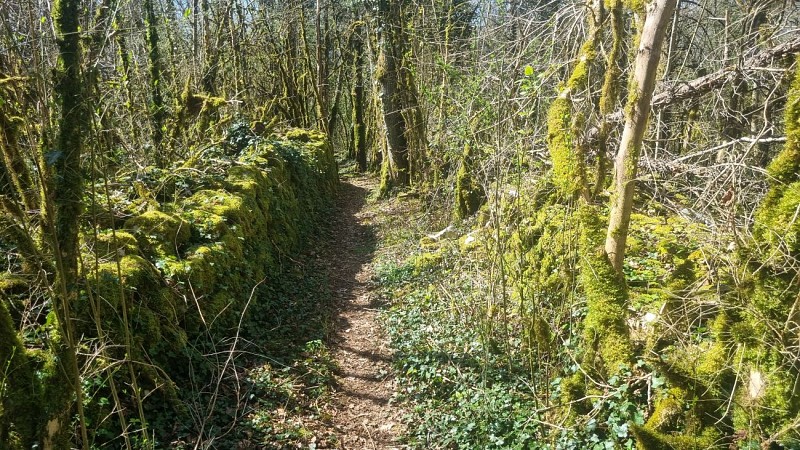 Randonnée  - Bohas et la Vallée du Suran_Bohas-Meyriat-Rignat
