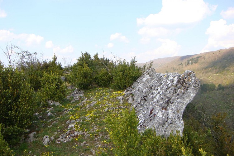 Balade - La Crête de Montcel