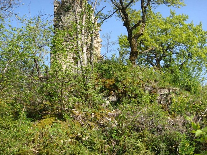 Balade - Ruines du château de Montfort