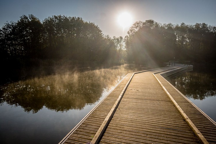 Balade - Tour de la Motte et de la Grange du Pin