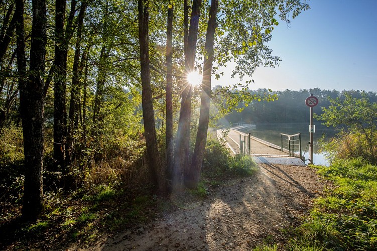 Balade - Tour de la Motte et de la Grange du Pin
