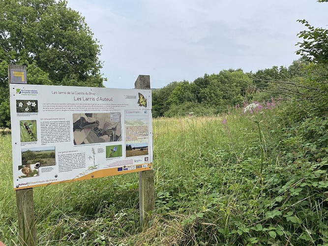Les larris d'Auteuil
