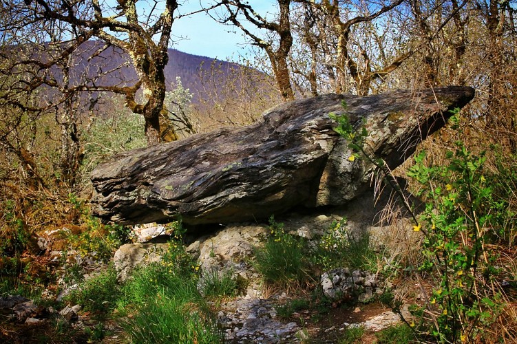 Hike: The grey stone (la Pierre grise).