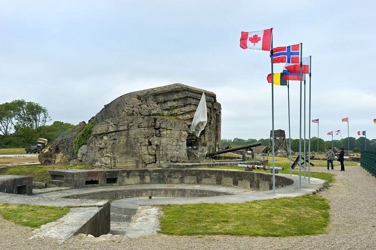 De chateaux en batteries