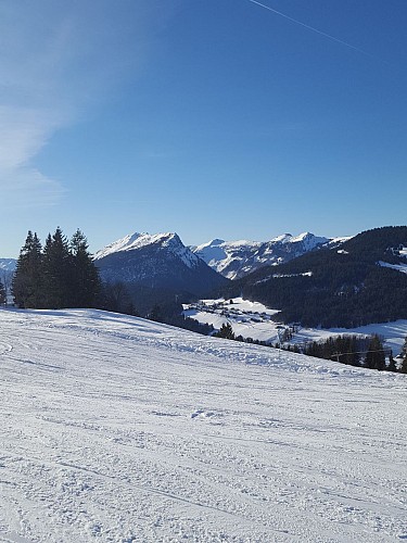 Raquettes 34 Plateau du Rosay