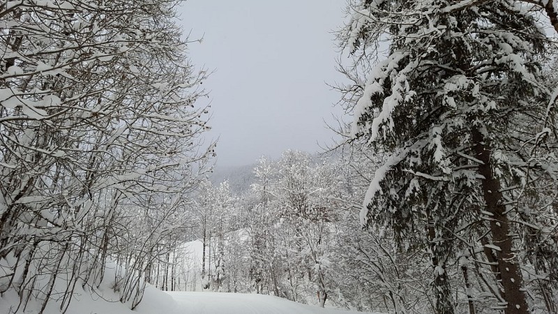 Sentiers raquettes 19 - La vallée du Bouchet