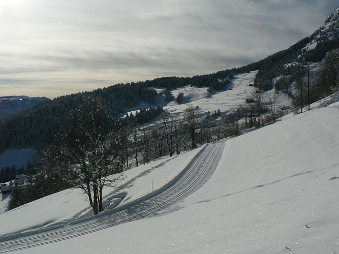 Itinéraire raquette 26 - sentier