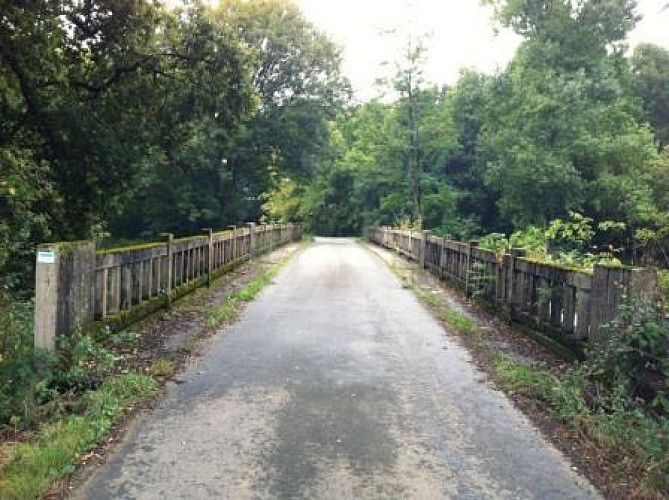 A Bastennes, circuit du Luy