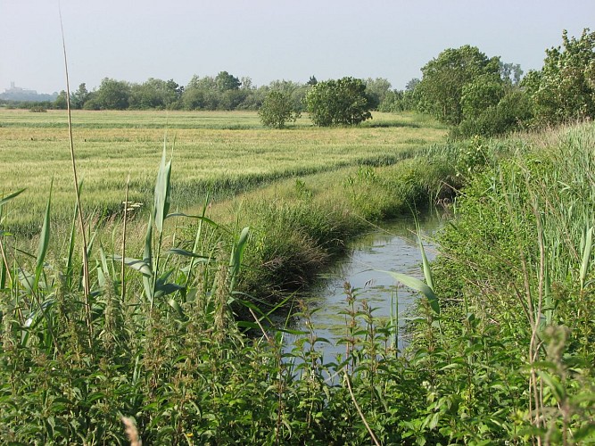 Marais Poitevin