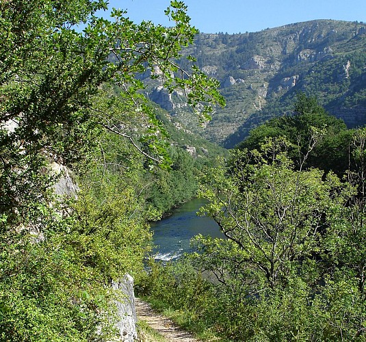 Sentier des Gorges du Tarn