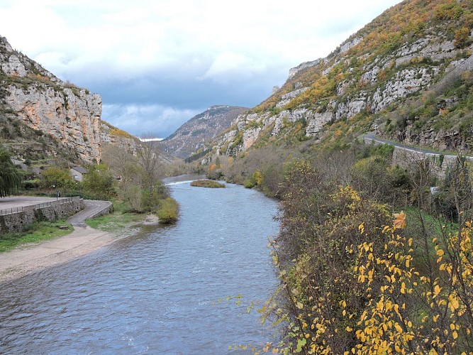 Gorges du Tarn à la Malène