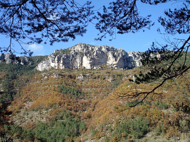 Gorges du Tarn entre les Vignes et le Rozier