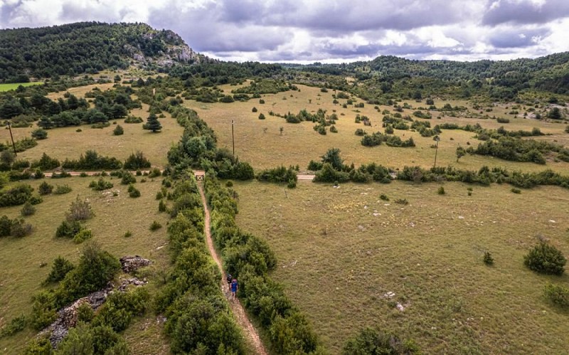 Paysage du Larzac