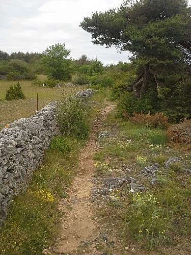 Entre la Blaquèrerie à Fontvive