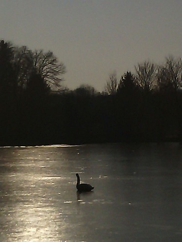 Circuit urbain "au fil de l'eau à Mamers"