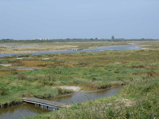 La-baie-de-Sallenelles