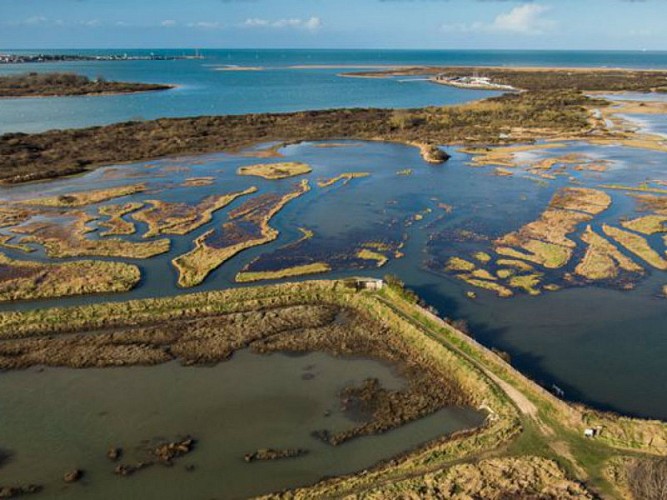 estuaire-baie-orne-merville-franceville-plage-dehaye