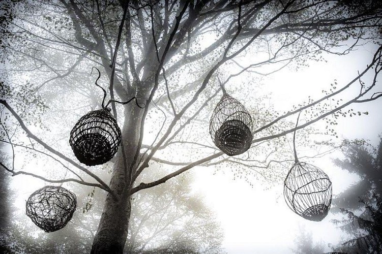 Parcours artistique "Les yeux miroflées"