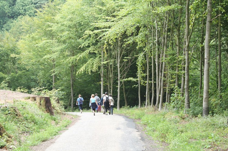 Georges Cuvier - Circuit n°6