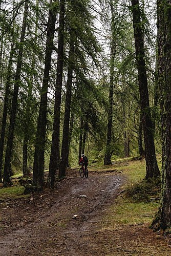 PARCOUR SPORTIF VTTAE BLEU DEMI/JOURNEE