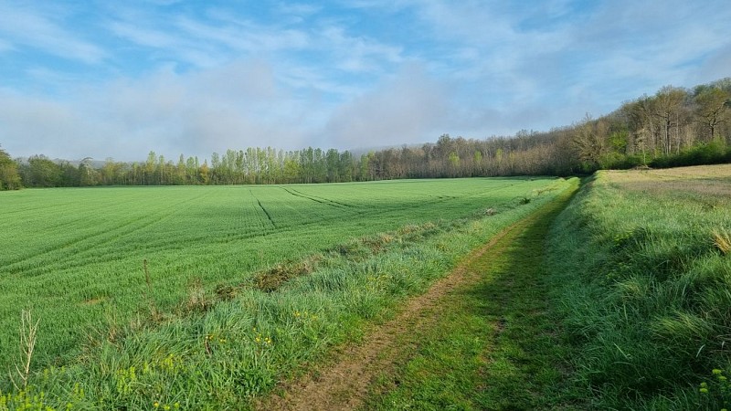 Circuit de Pousiniès
