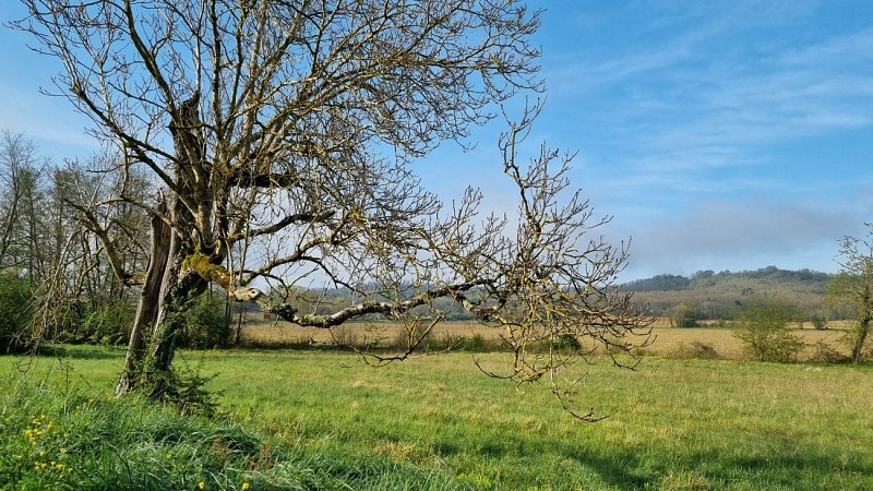 Circuit de Pousiniès