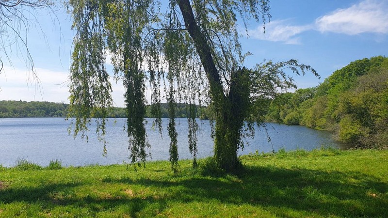 Etang de Bélouze