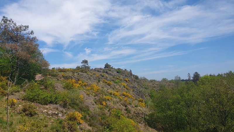 Affleurements rocheux et landes sèches