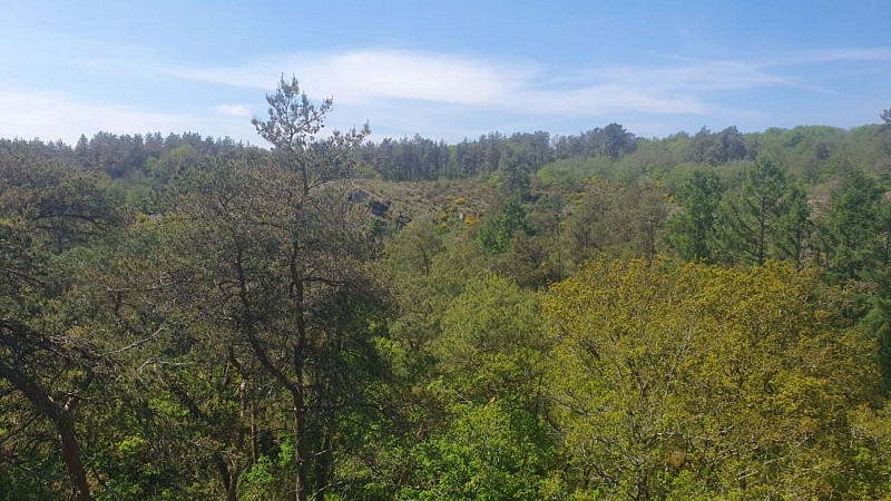 Vallée du Canut