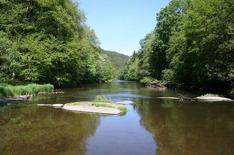 Forêts et plateaux - Tronçon 4 - Gives - Nadrin