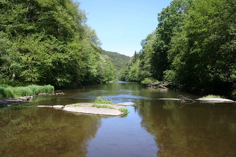 Woud en plateau - Deel 4 - Gives - Nadrin