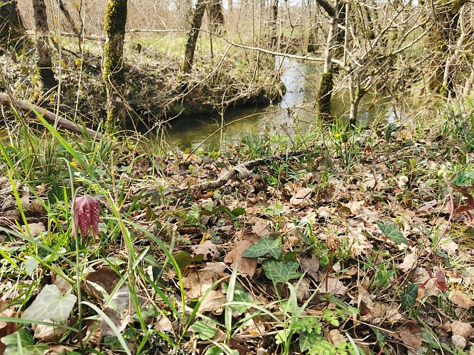 PR3 Montpezat-de-Quercy