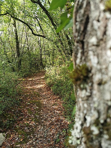 PR3 Montpezat-de-Quercy