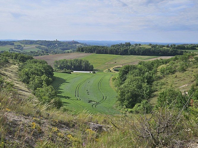 PR1 Labastide-de-Penne - Les Causses du Quercy Blanc