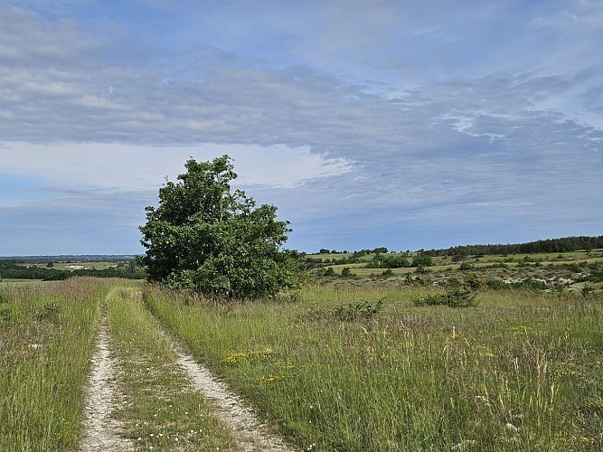 PR1 Labastide-de-Penne - Les Causses du Quercy Blanc