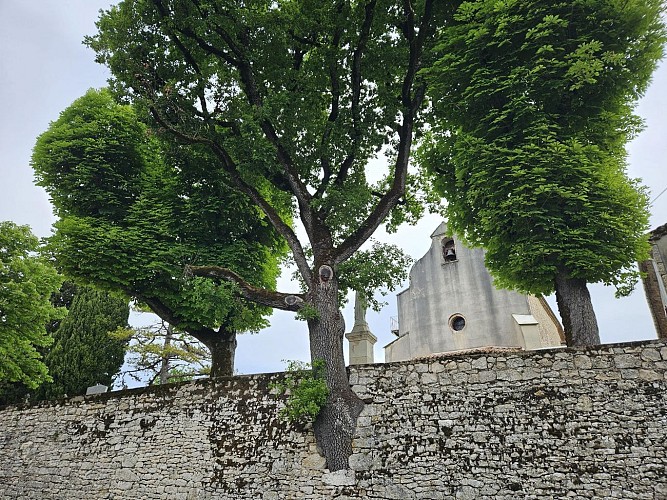 PR1 Labastide-de-Penne - Les Causses du Quercy Blanc