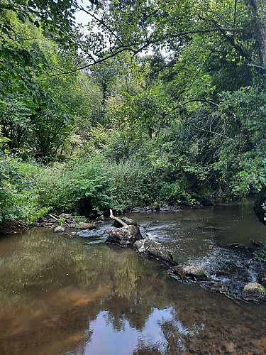 Sentier du Comité - Saint Prouant