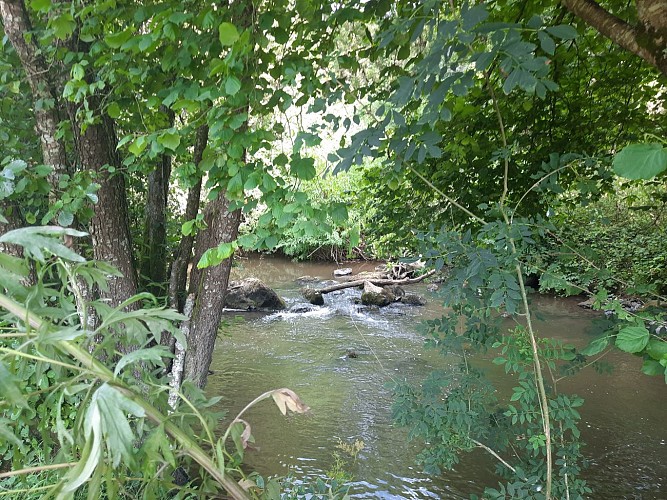 Sentier du Comité - Saint Prouant