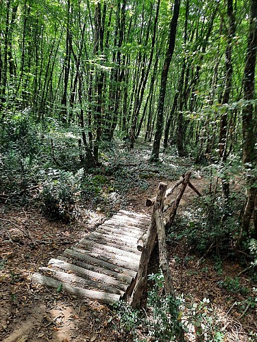 Sentier du Comité - Saint Prouant